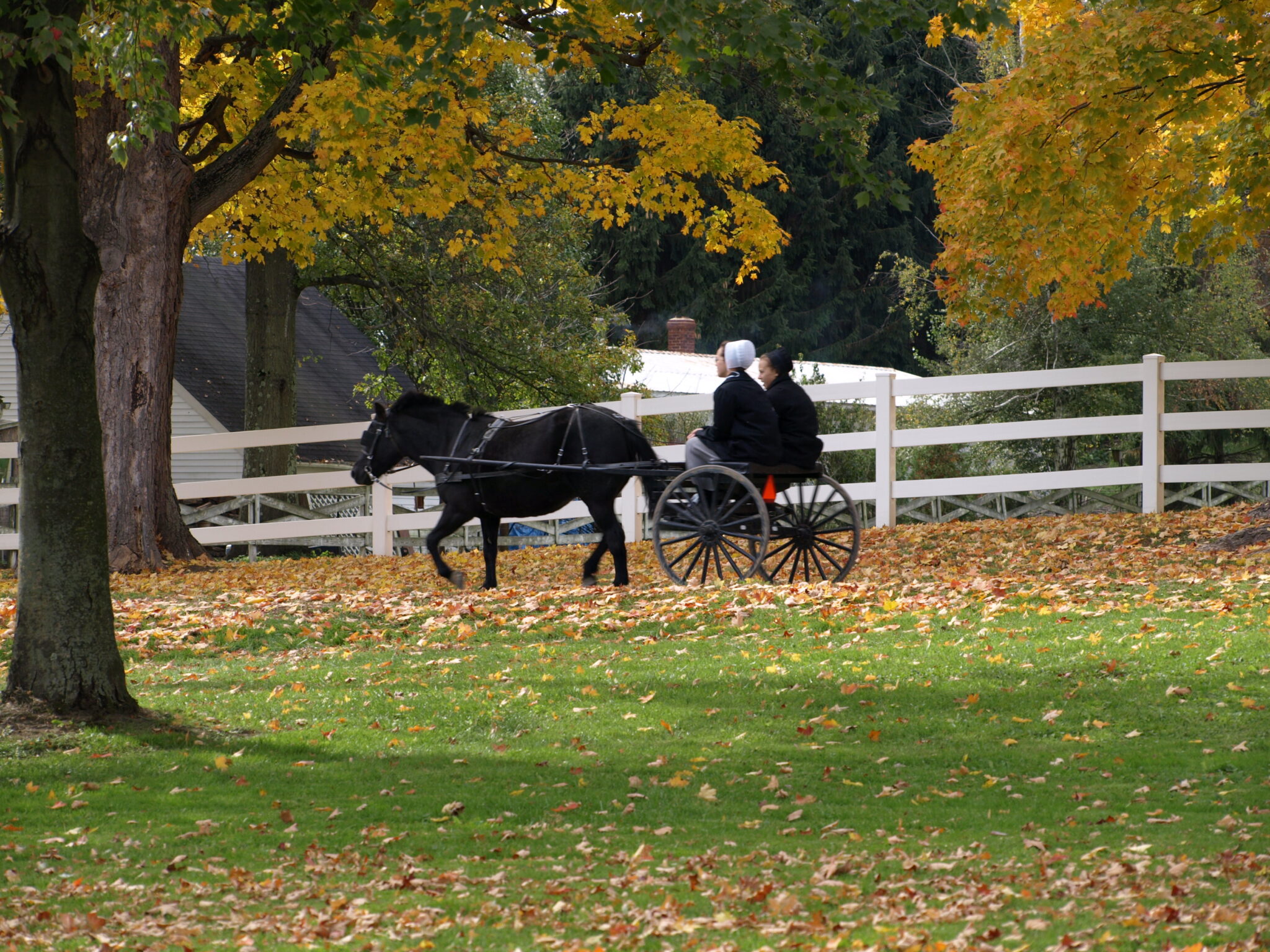 Things To Do In Ohio’s Amish Country 