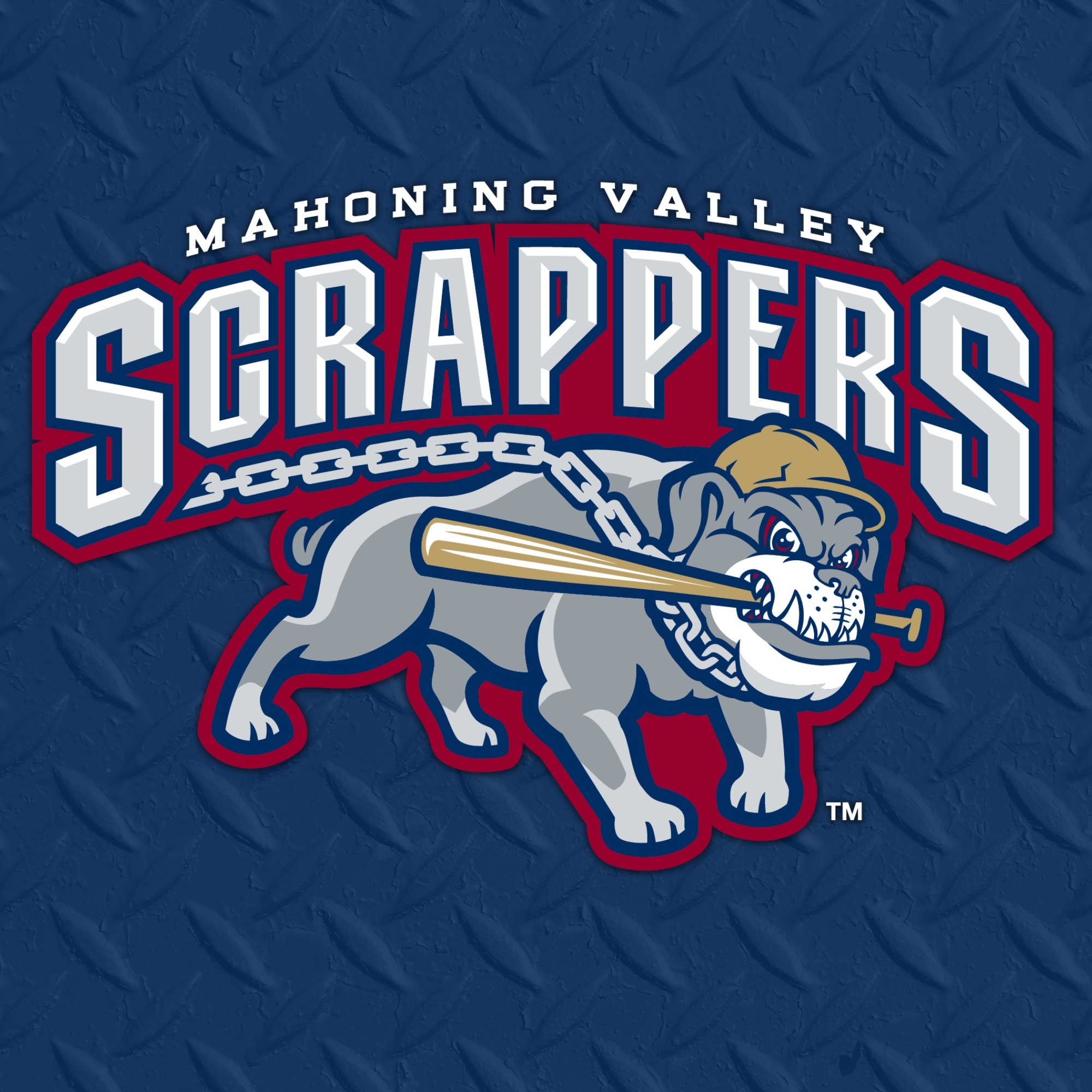 Mahoning Valley Scrappers vs Trenton Thunder