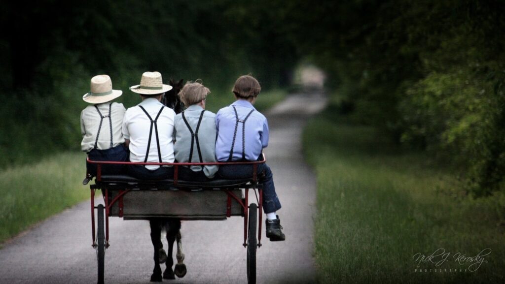 Amish boys riding a horse cart along the Western Reserve Greenway Trail in Trumbull County, Ohio, surrounded by lush countryside.