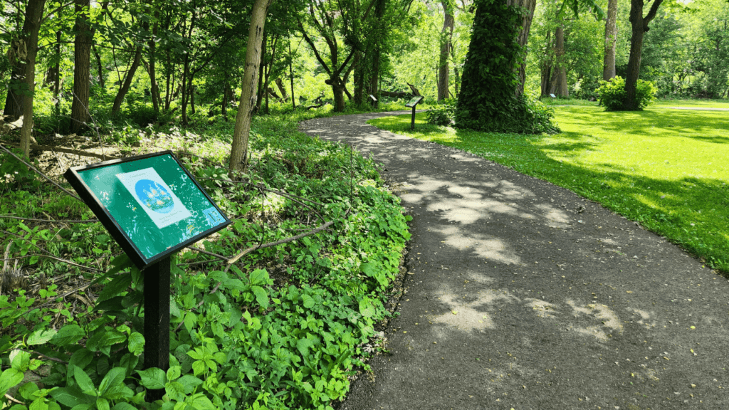 Storybook Trail in Trumbull County, Ohio, featuring a scenic family-friendly hiking path with story panels and nature exploration opportunities.