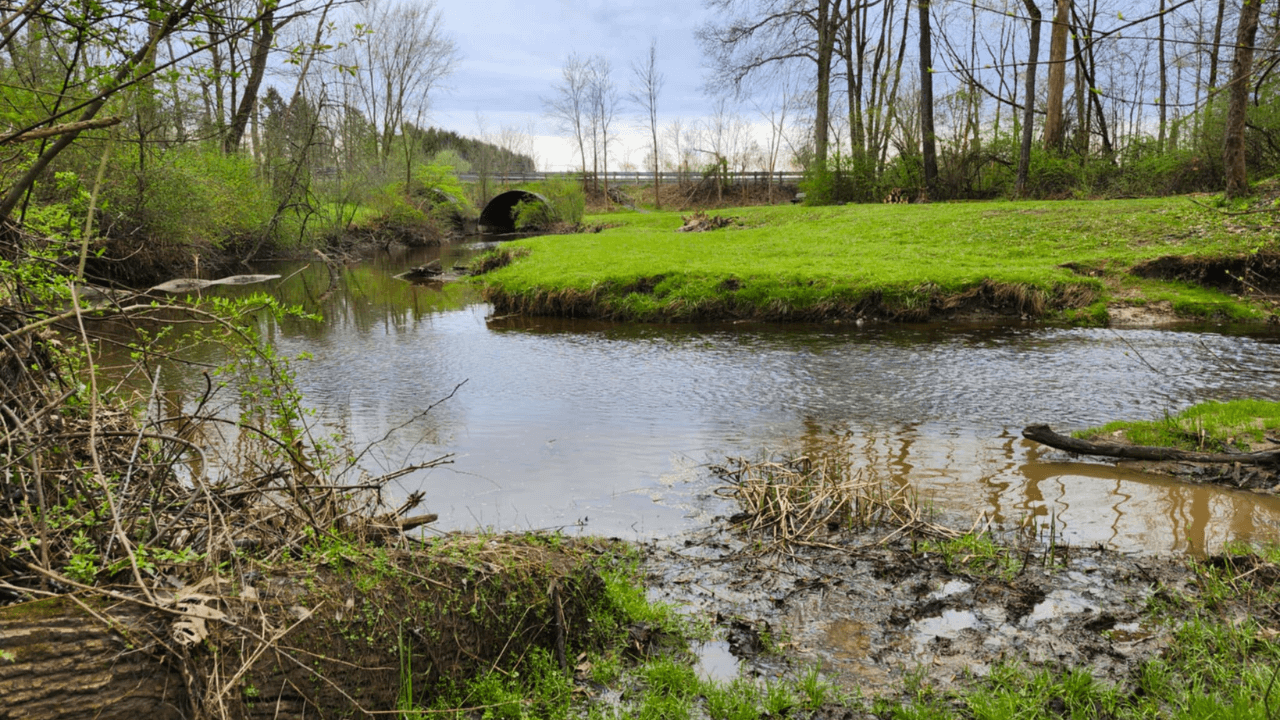 Scenic creek and wooded trail at Clarence Darrow MetroPark in Trumbull County, Ohio, surrounded by lush greenery and spring foliage.