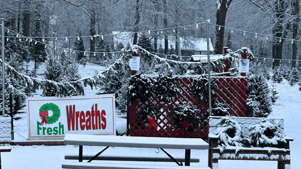 Snow-dusted wreath display under string lights at 7P Trees Christmas Tree Farm in Hubbard, Trumbull County, Ohio, with rows of cut-your-own evergreens in the background.