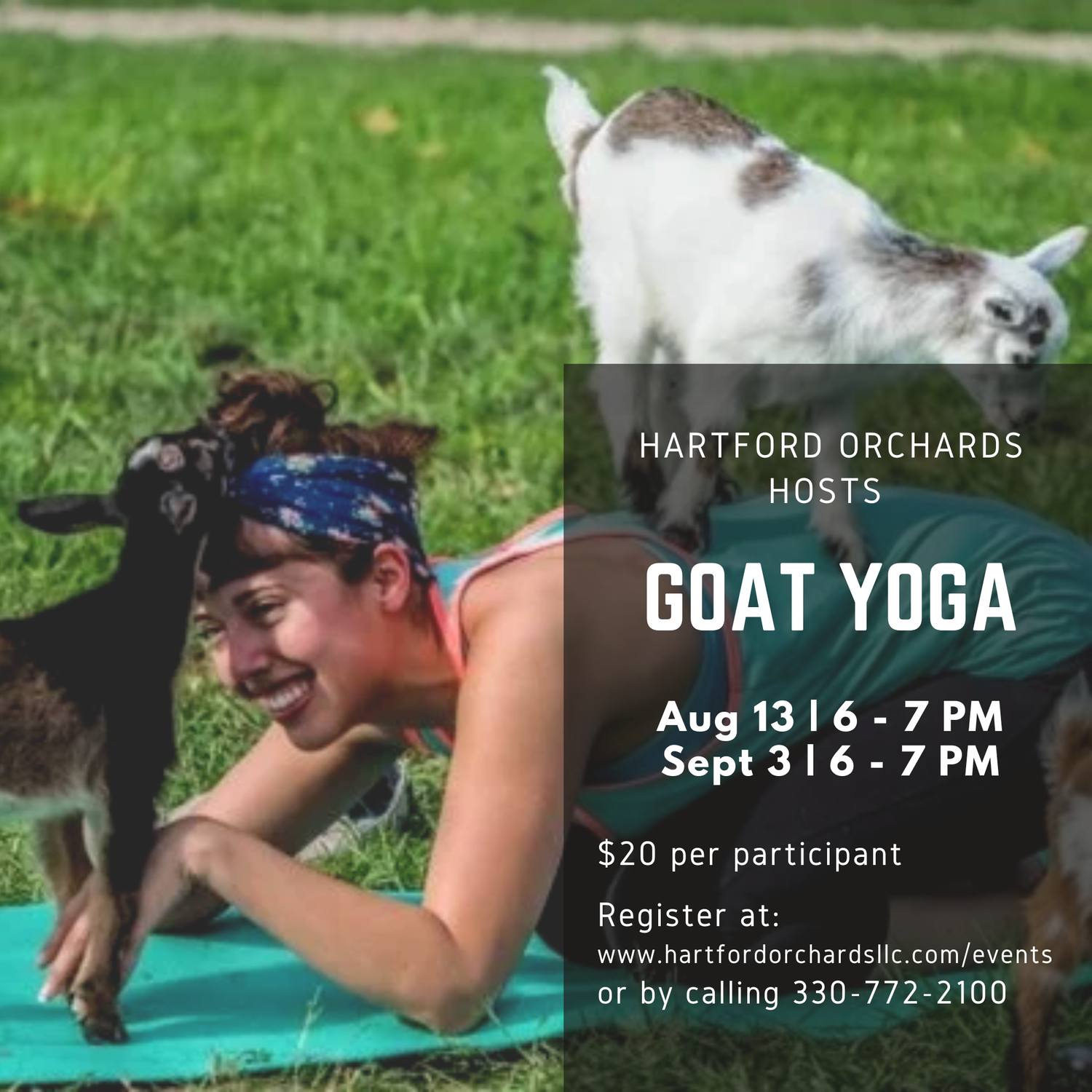 Goat Yoga